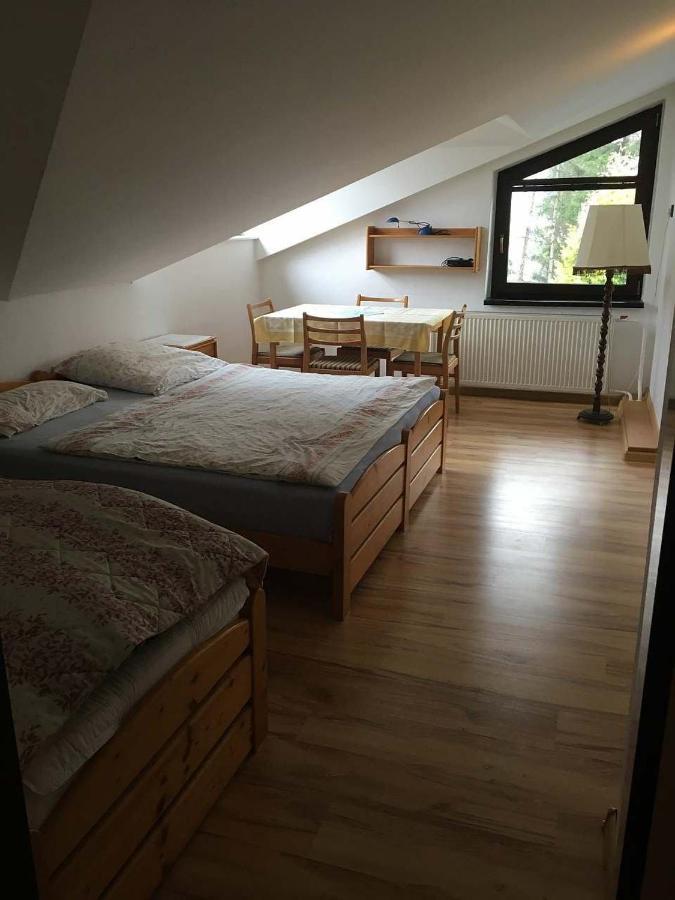 Apartman - Rokytnice Nad Jizerou Apartment ภายนอก รูปภาพ